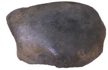 Valudavur Stony Meteorite