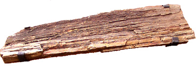 Fossil wood