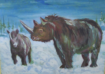 Woolly Rhinoceros